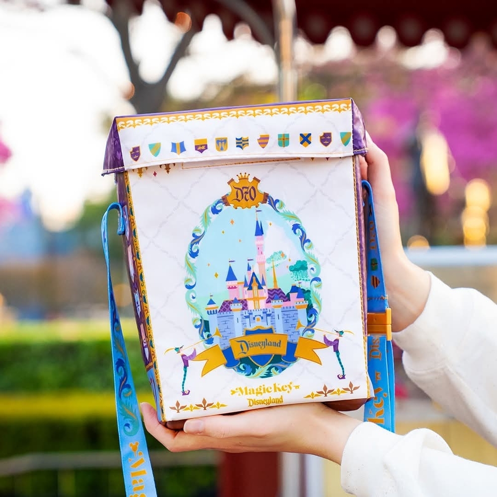 Disneyland Magic Key Souvenir Box
